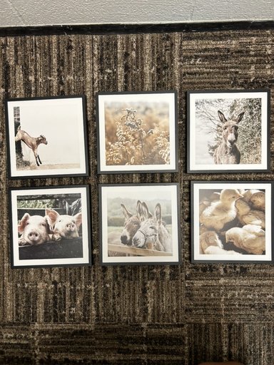 Baby farm animals mix tiles set